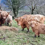 公寓 Scafell On The Big 