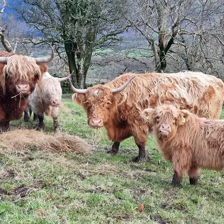 Apartamento Scafell On The Big 