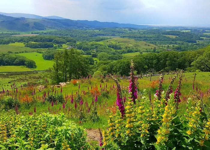 شقة Scafell On The Big 
