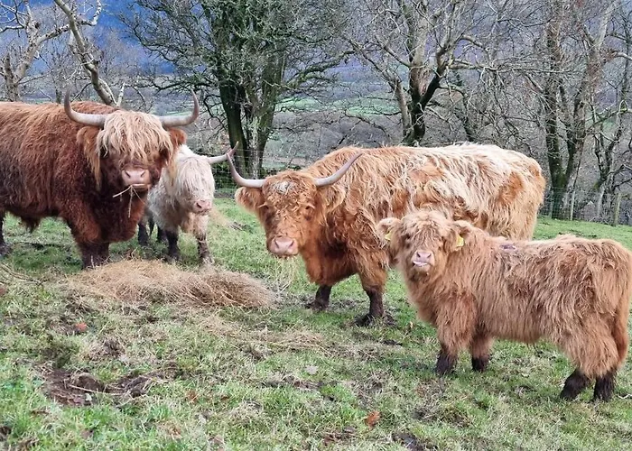 شقة Scafell On The Big 